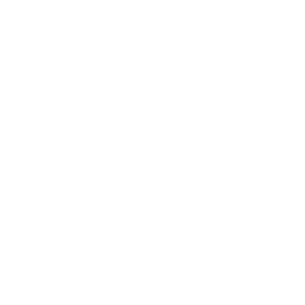 Soar Logo Design Transparent 37 1024x1024