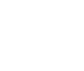 soar logo design